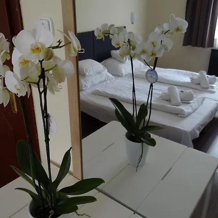 Fortuna And Restaurant Hotel